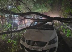 लखनऊ में हुई रिमझिम बारिश : रोड पे खड़ी कार पे गिरा पेड़: तापमान में हुई गिरावट : अगले 48 घंटे आंधी पानी का अलर्ट।